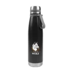 double wall stainless steel bottles