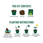 Plantable Kit with GHAF Seeds in Kraft Box - Image 5